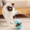 PET TOYS & ACCESSORIES